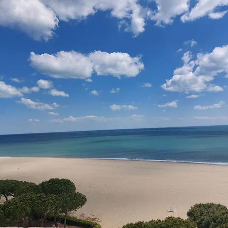 2p 5 Pers., Wifi, Jardin, A 50m Plage, Parking Facile, - Fr-1-776-93 Apartment Argeles-sur-Mer