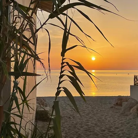 2p 5 Pers., Wifi, Jardin, A 50m Plage, Parking Facile, - Fr-1-776-93 * Argeles-sur-Mer